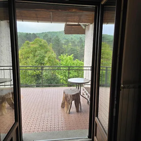 Holiday home La Pineta